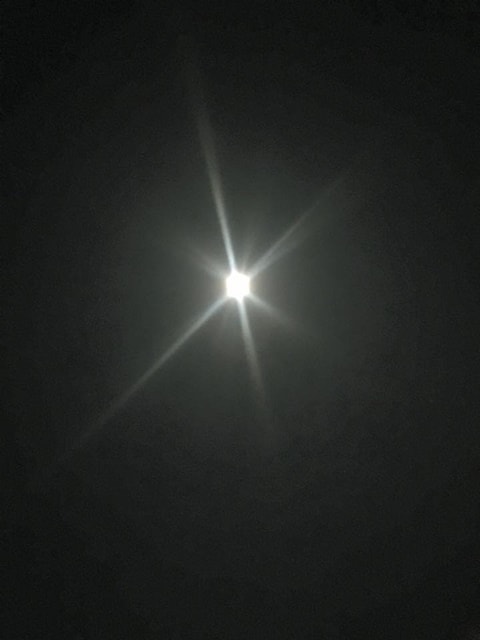 20250315-69h3o