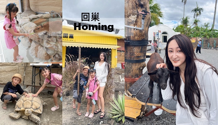 宜蘭礁溪景點|回巢Homing農場-近距離餵食水豚、看狐獴、餵象龜、餵小鳥的療癒小旅行 - 第1張圖