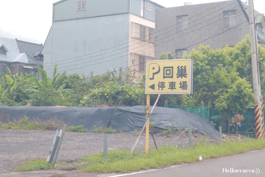 宜蘭礁溪景點|回巢Homing農場-近距離餵食水豚、看狐獴、餵象龜、餵小鳥的療癒小旅行 - 第31張圖