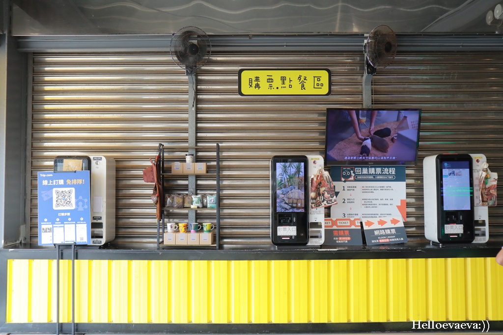 宜蘭礁溪景點|回巢Homing農場-近距離餵食水豚、看狐獴、餵象龜、餵小鳥的療癒小旅行 - 第5張圖