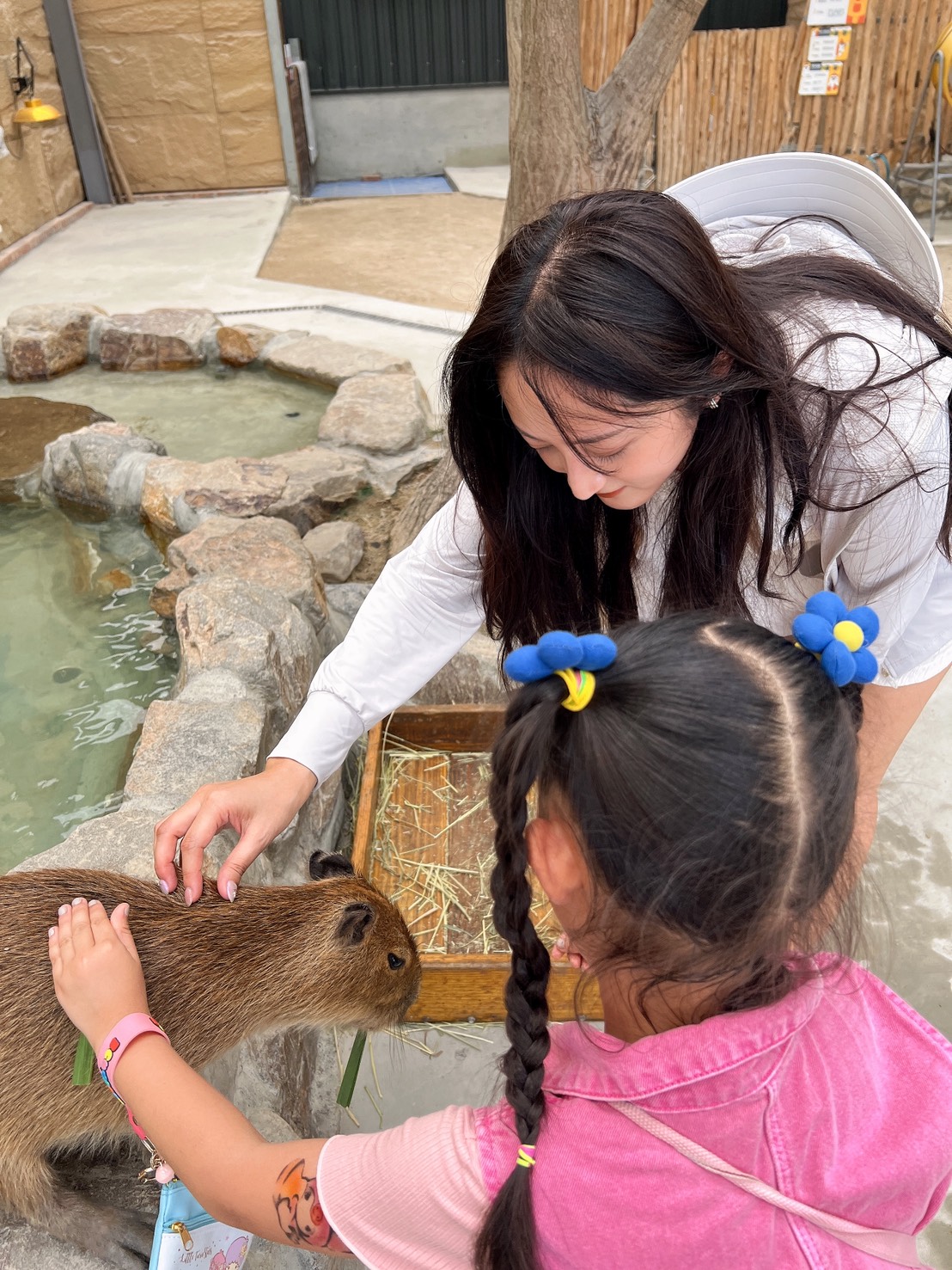 宜蘭礁溪景點|回巢Homing農場-近距離餵食水豚、看狐獴、餵象龜、餵小鳥的療癒小旅行 - 第20張圖