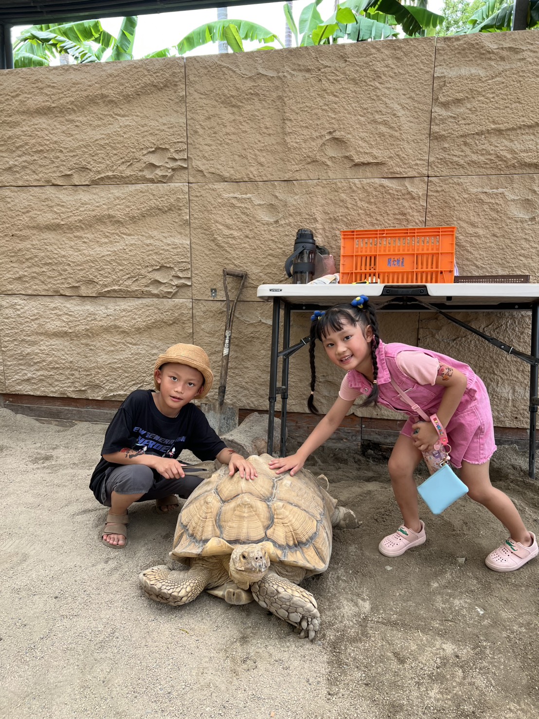 宜蘭礁溪景點|回巢Homing農場-近距離餵食水豚、看狐獴、餵象龜、餵小鳥的療癒小旅行 - 第22張圖