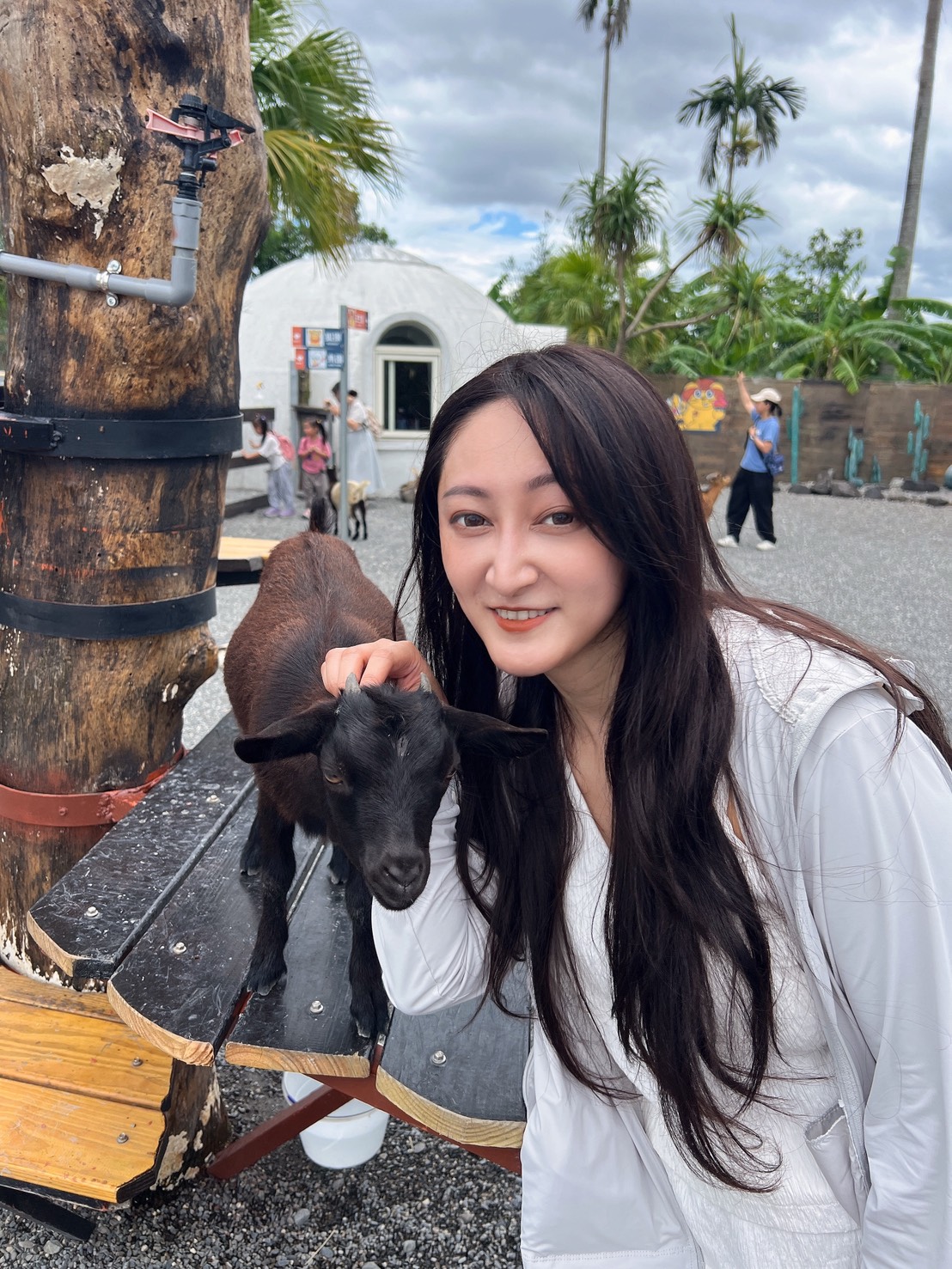 宜蘭礁溪景點|回巢Homing農場-近距離餵食水豚、看狐獴、餵象龜、餵小鳥的療癒小旅行 - 第15張圖