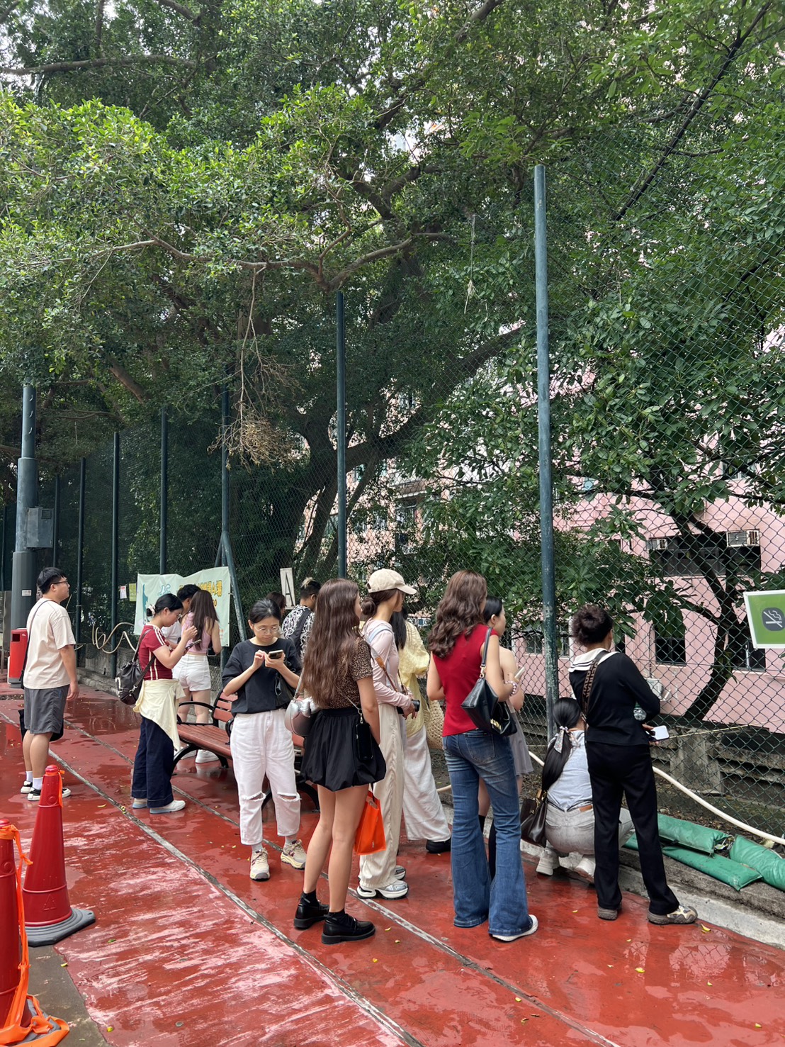 香港｜照片港味滿分！堅尼地城必拍景點＋必吃佳佳甜品、香港雞蛋仔