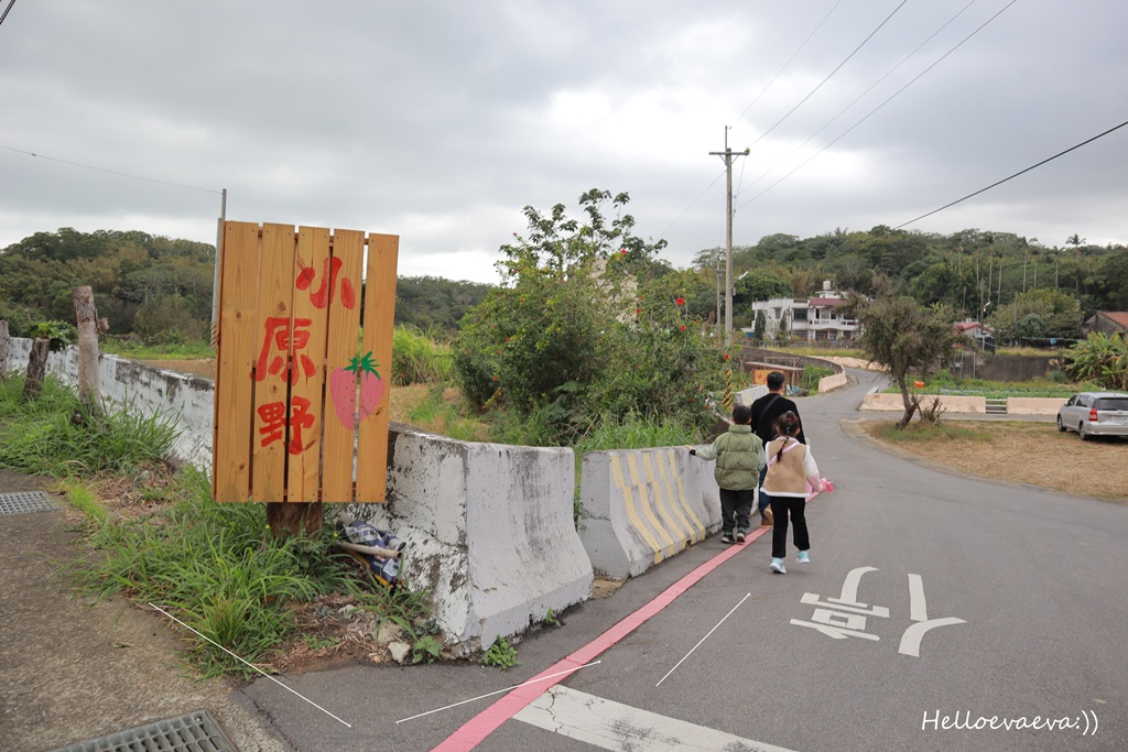 新竹親子半日放電｜「小原野共玩農場」 採草莓＋拔蘿蔔一次滿足（地點・價錢・環境分享）