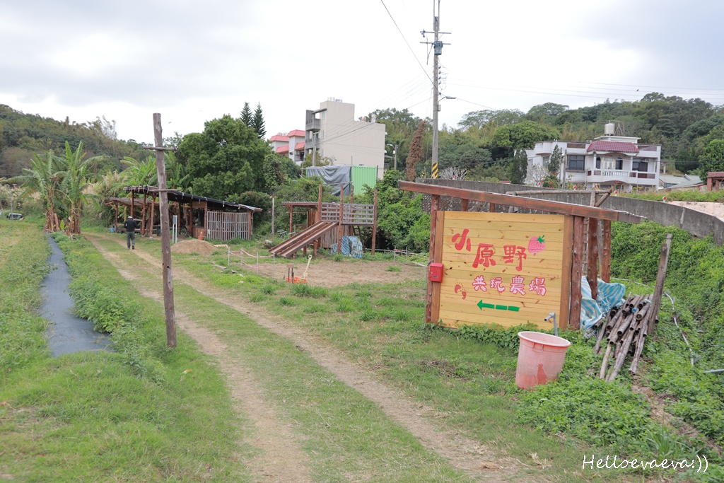 新竹親子半日放電｜「小原野共玩農場」 採草莓＋拔蘿蔔一次滿足（地點・價錢・環境分享）