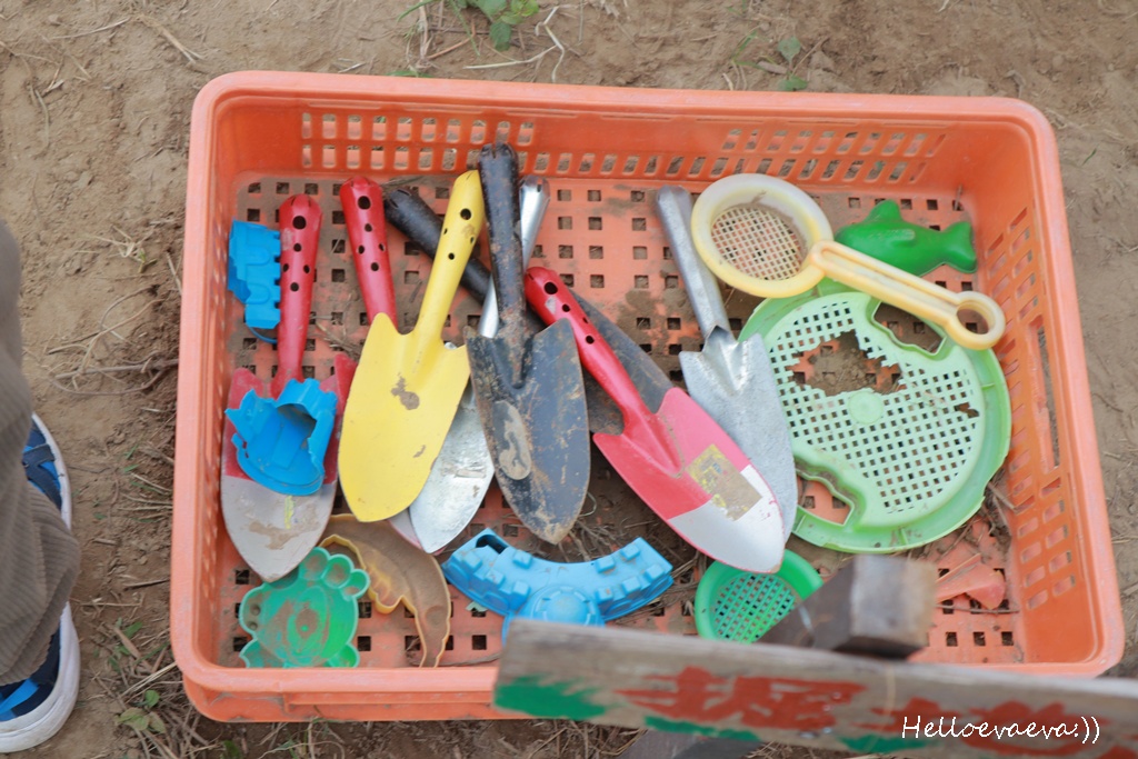 新竹親子半日放電｜「小原野共玩農場」 採草莓＋拔蘿蔔一次滿足（地點・價錢・環境分享）
