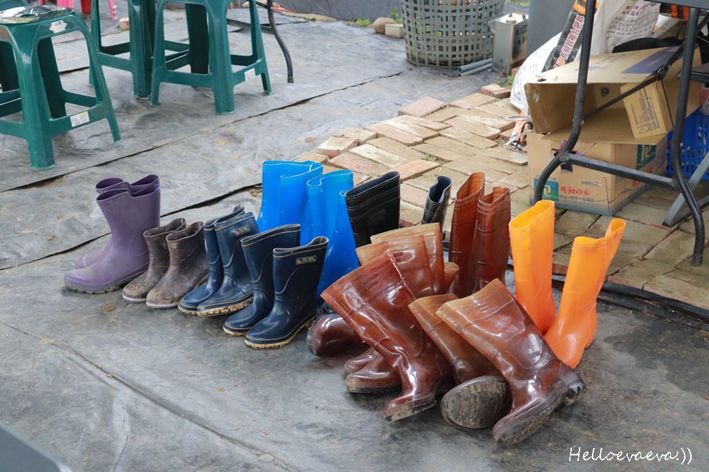 新竹親子半日放電｜「小原野共玩農場」 採草莓＋拔蘿蔔一次滿足（地點・價錢・環境分享）