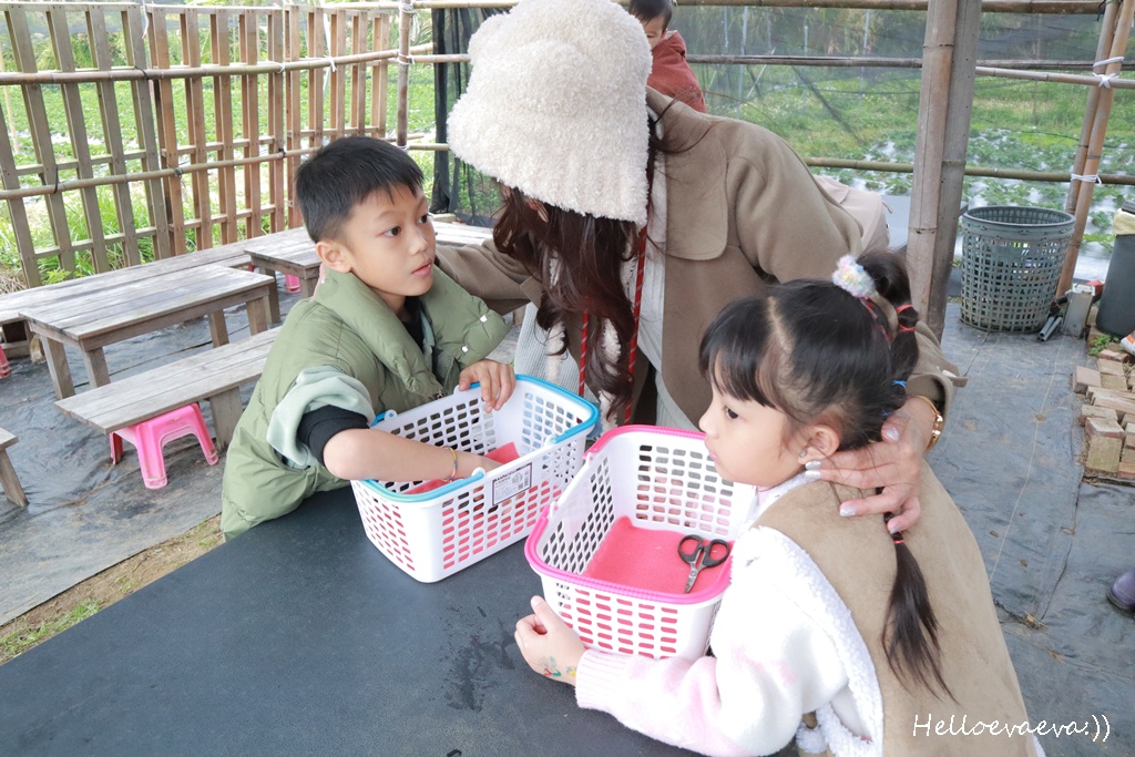 新竹親子半日放電｜「小原野共玩農場」 採草莓＋拔蘿蔔一次滿足（地點・價錢・環境分享）
