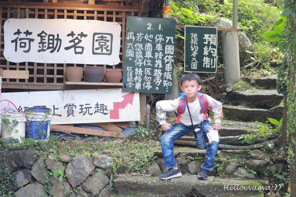 台北士林｜「陽明山荷鋤茗園休閒農園」一日體驗：甕窯烤地瓜、烤肉、撈魚親子活動一整天都不無聊！(需先預約)