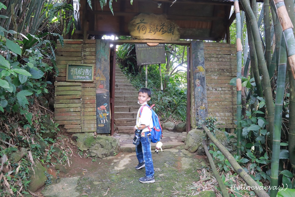 台北士林｜「陽明山荷鋤茗園休閒農園」一日體驗：甕窯烤地瓜、烤肉、撈魚親子活動一整天都不無聊！(需先預約)