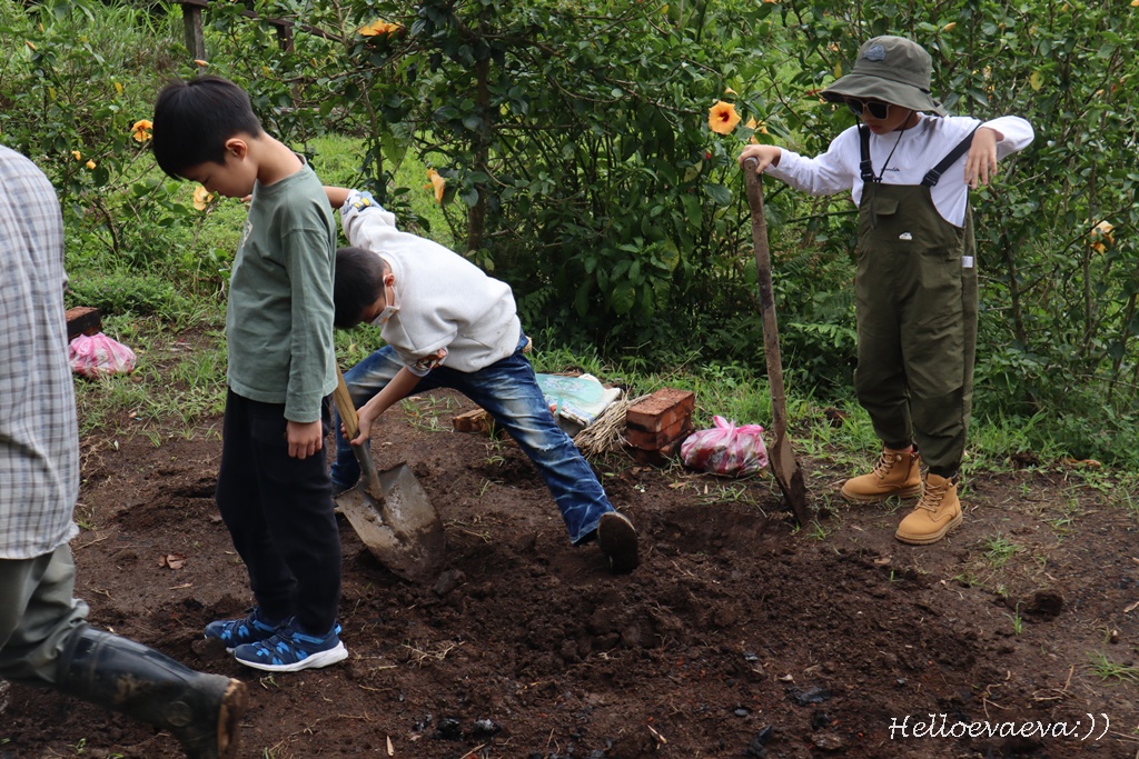 台北士林｜「陽明山荷鋤茗園休閒農園」一日體驗：甕窯烤地瓜、烤肉、撈魚親子活動一整天都不無聊！(需先預約)