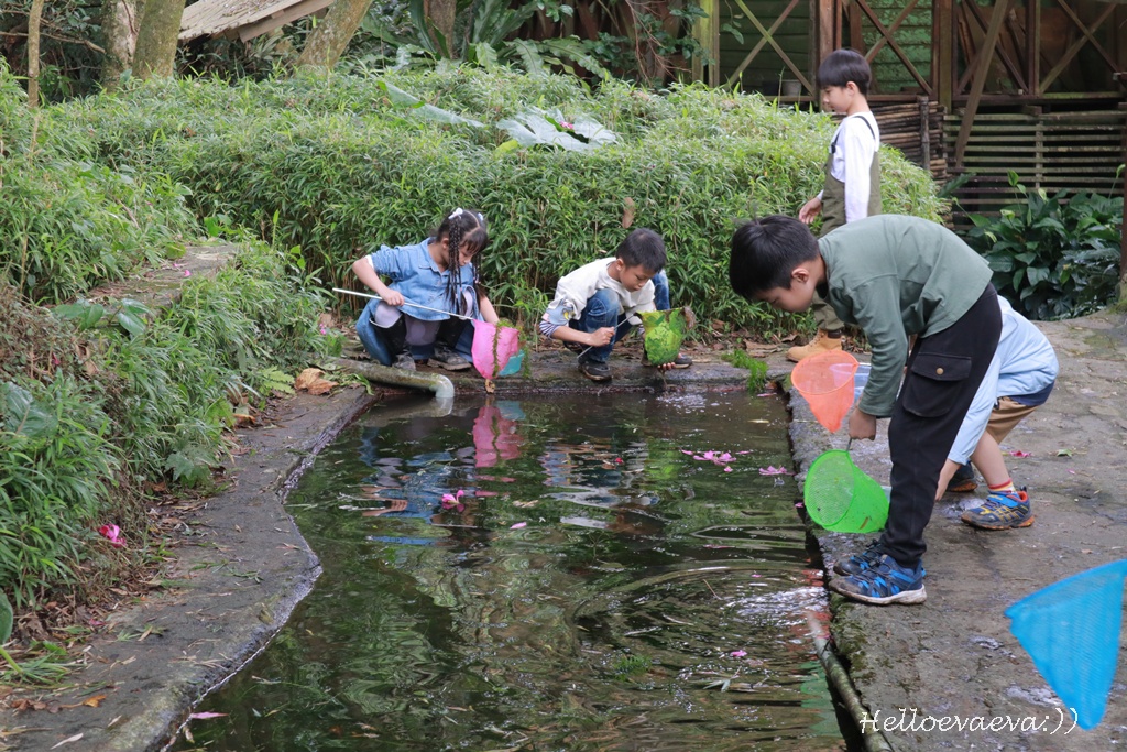 台北士林｜「陽明山荷鋤茗園休閒農園」一日體驗：甕窯烤地瓜、烤肉、撈魚親子活動一整天都不無聊！(需先預約)