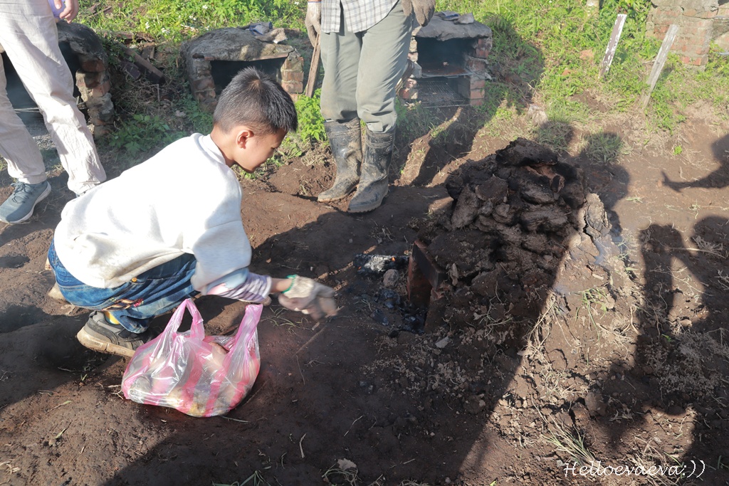 台北士林｜「陽明山荷鋤茗園休閒農園」一日體驗：甕窯烤地瓜、烤肉、撈魚親子活動一整天都不無聊！(需先預約)
