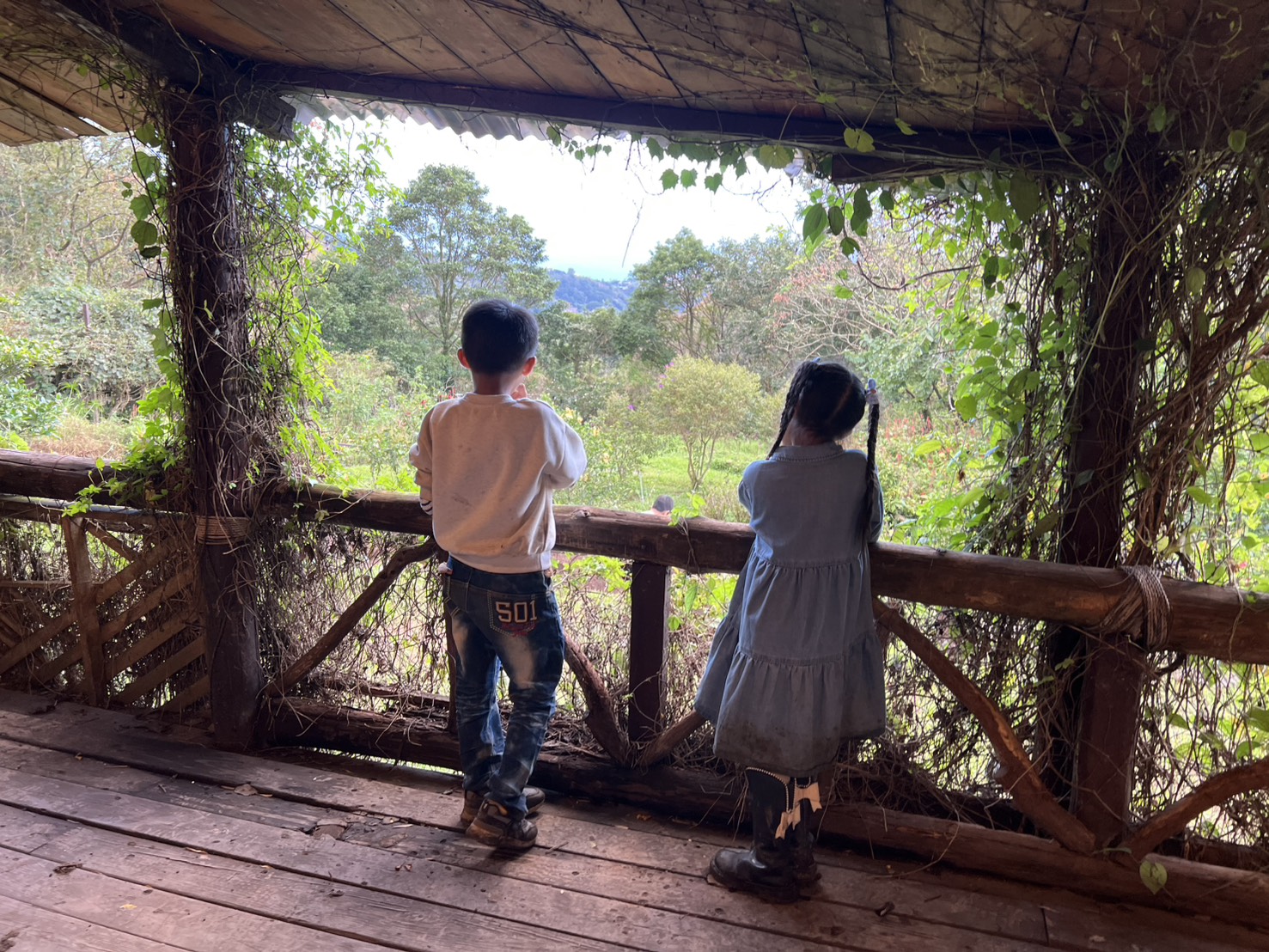 台北士林｜「陽明山荷鋤茗園休閒農園」一日體驗：甕窯烤地瓜、烤肉、撈魚親子活動一整天都不無聊！(需先預約)