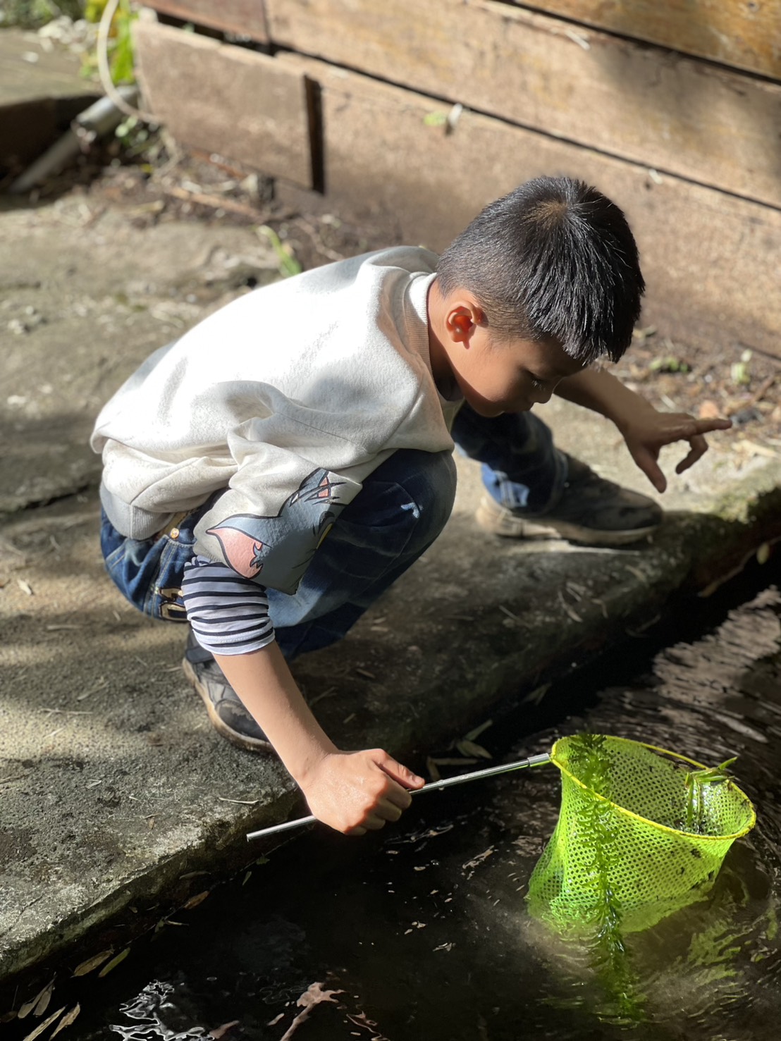 台北士林｜「陽明山荷鋤茗園休閒農園」一日體驗：甕窯烤地瓜、烤肉、撈魚親子活動一整天都不無聊！(需先預約)
