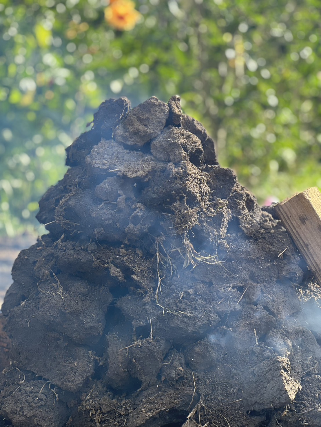 台北士林｜「陽明山荷鋤茗園休閒農園」一日體驗：甕窯烤地瓜、烤肉、撈魚親子活動一整天都不無聊！(需先預約)