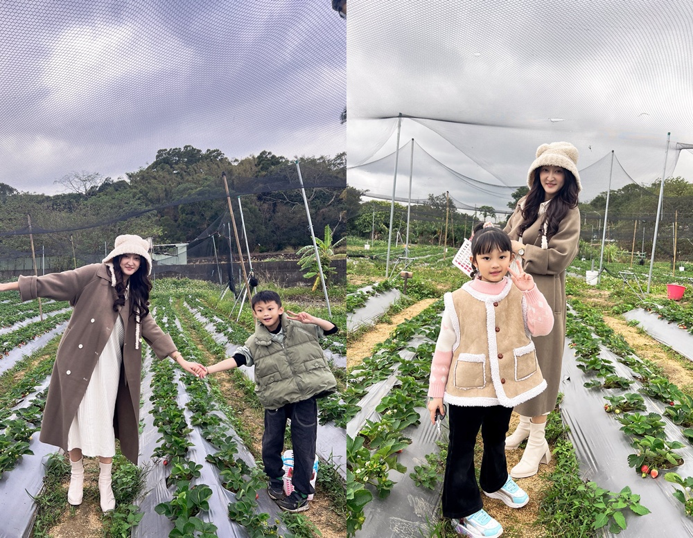 新竹親子半日放電｜「小原野共玩農場」 採草莓＋拔蘿蔔一次滿足（地點・價錢・環境分享）