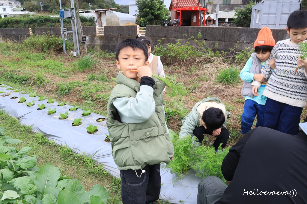 新竹親子半日放電｜「小原野共玩農場」 採草莓＋拔蘿蔔一次滿足（地點・價錢・環境分享）
