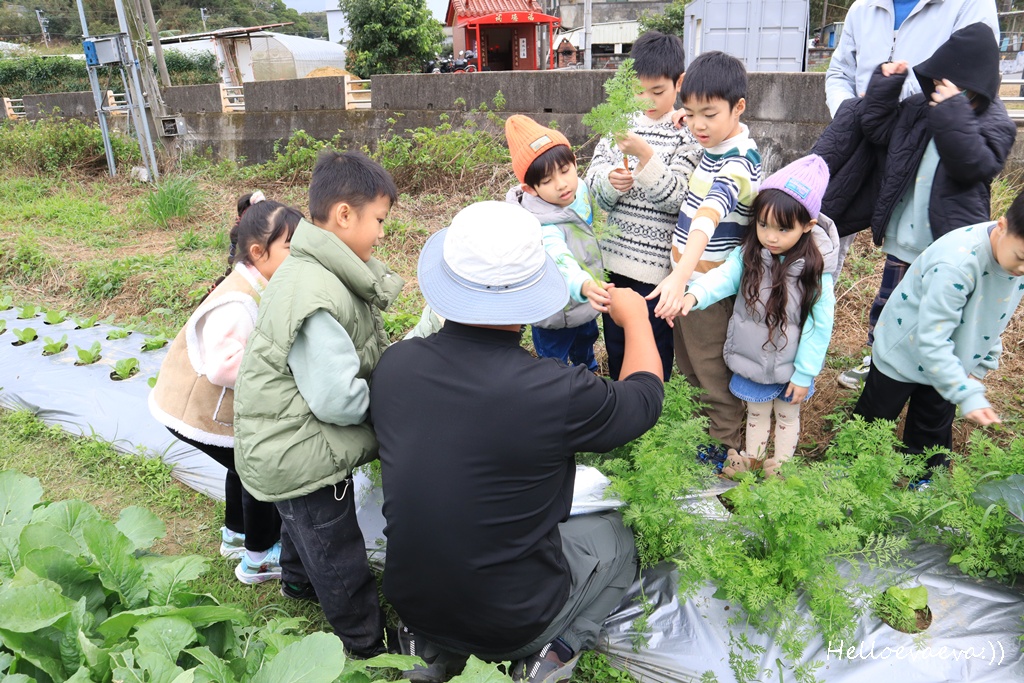 新竹親子半日放電｜「小原野共玩農場」 採草莓＋拔蘿蔔一次滿足（地點・價錢・環境分享）