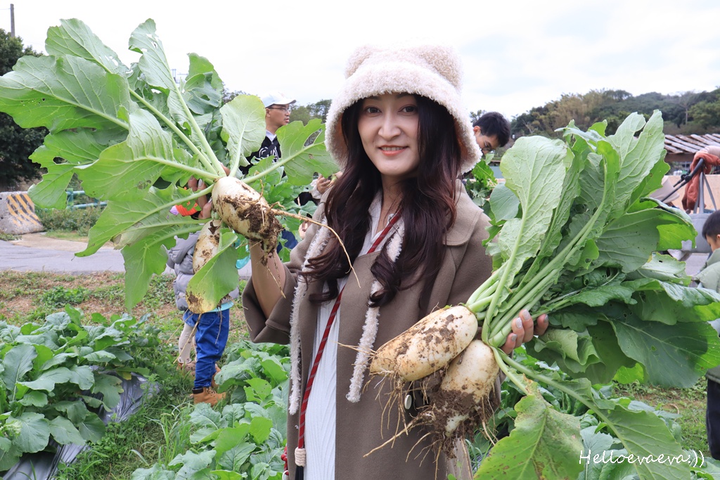 新竹親子半日放電｜「小原野共玩農場」 採草莓＋拔蘿蔔一次滿足（地點・價錢・環境分享）