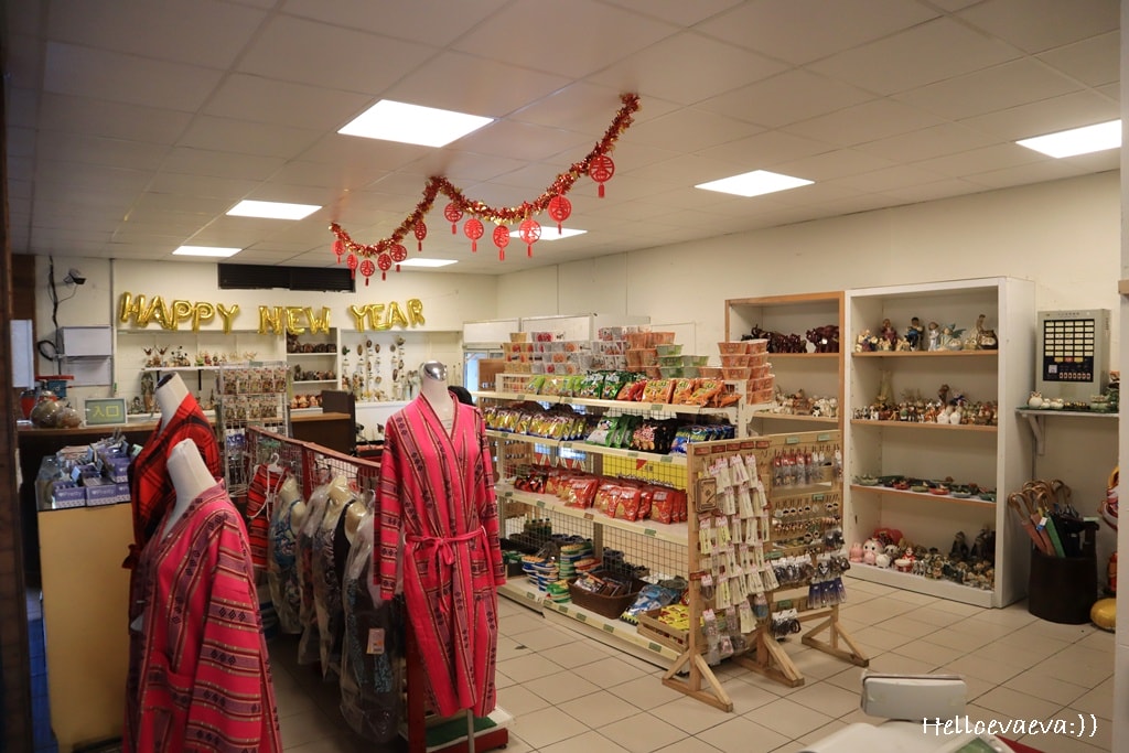 南投親子住宿｜山林系度假首選-泰雅皇宮大飯店＋露天溫泉慢活開箱