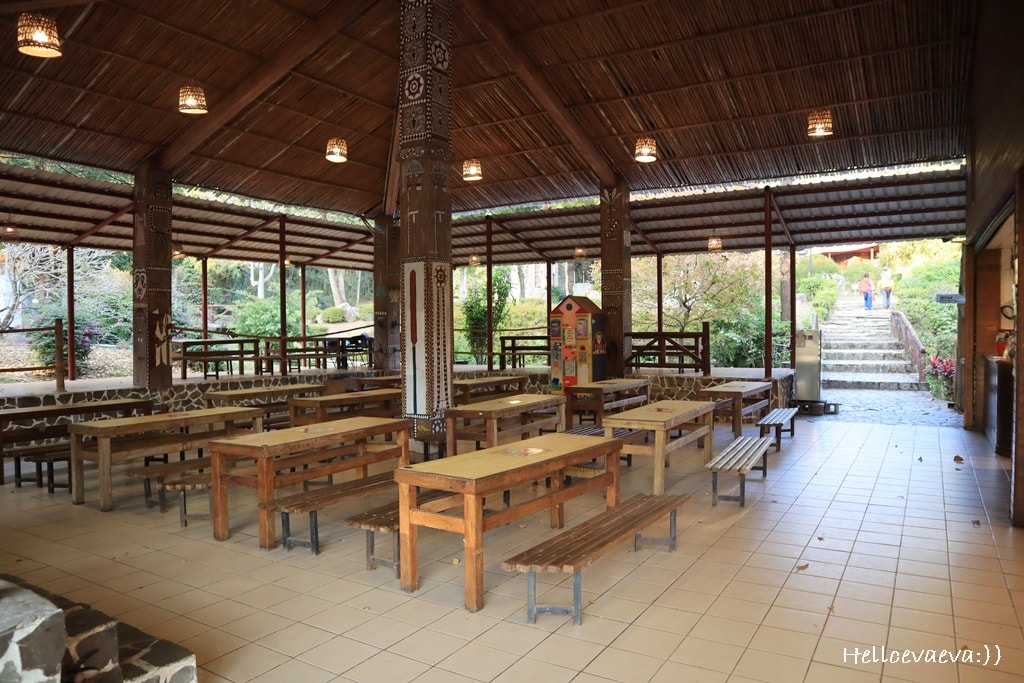 南投親子住宿｜山林系度假首選-泰雅皇宮大飯店＋露天溫泉慢活開箱