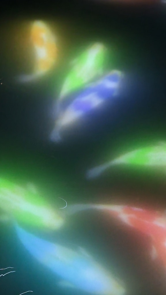 東京最夢幻沉浸式展覽|TeamLab Planets TOKYO走進水中與光影宇宙的身體沉浸式體驗 - 第8張圖 東京最夢幻沉浸式展覽|TeamLab Planets TOKYO走進水中與光影宇宙的身體沉浸式體驗